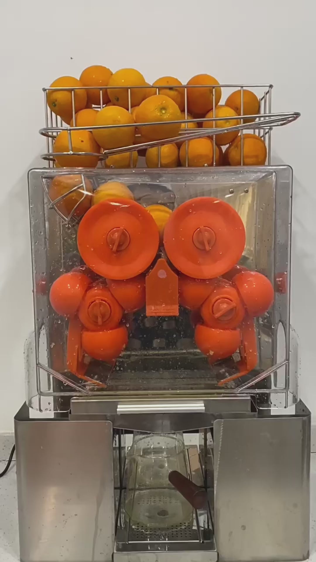 Exprimidor de naranjas automatico exmex – Exmex shopping